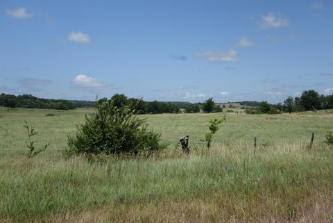 Endless plains. 