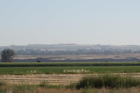 Looking out over cornfields