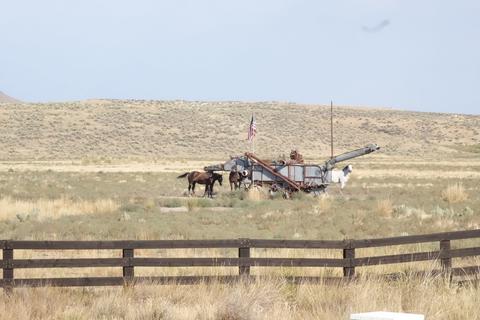 A thing in a field with some horses.