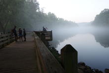 Boardwalk in the fog