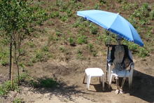 Skeleton sunbathing. 