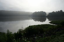 Foggy creek just after dawn. 