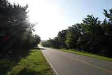 Wooded road in the morning. 